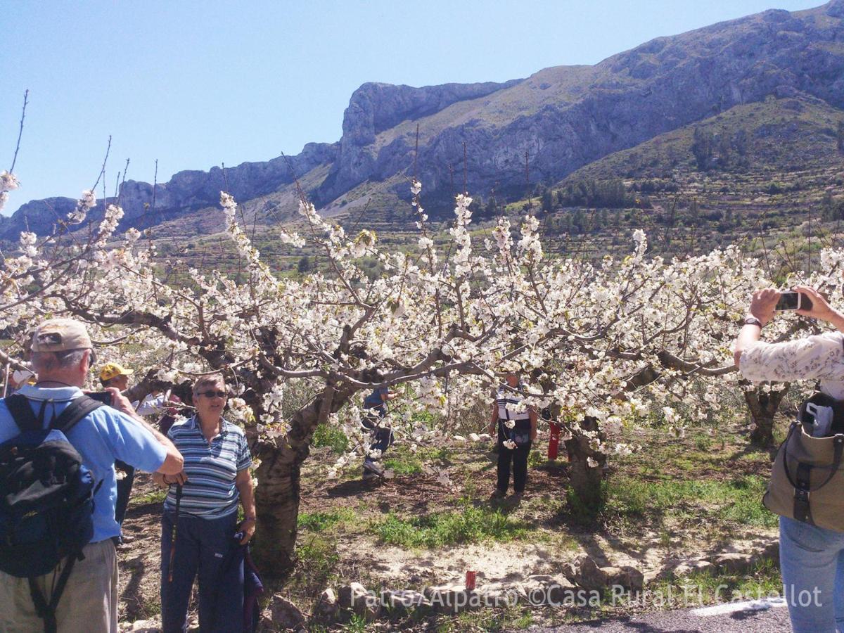 Buhardilla Rustica En La Vall De Gallinera Aparthotel Patró Εξωτερικό φωτογραφία