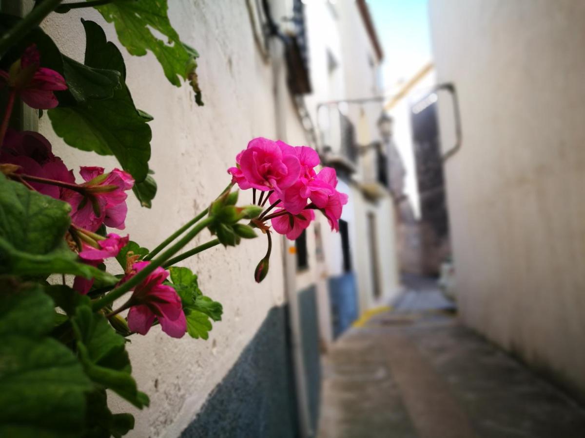 Buhardilla Rustica En La Vall De Gallinera Aparthotel Patró Εξωτερικό φωτογραφία
